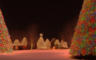 Black Friday Christmas Lights Deals: What to Look For in 2026