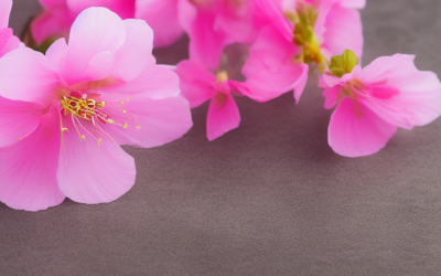 Pinkblossom Product Reviews Archive: Legacy URL and Current Shopping Notes